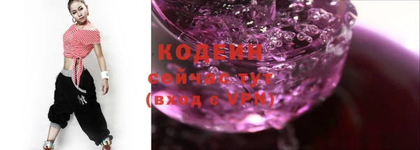 мет Корсаков