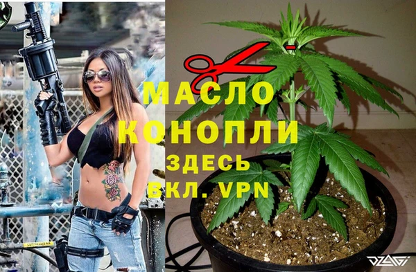 мет Корсаков