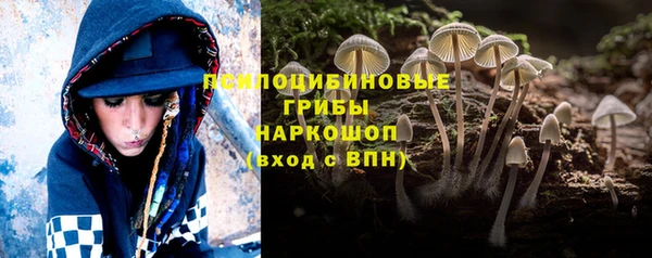 ALPHA PVP Краснослободск