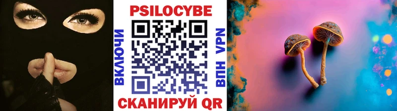 мега ссылка  Клин  Псилоцибиновые грибы Psilocybe 
